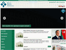 Tablet Screenshot of mnxhospital.com